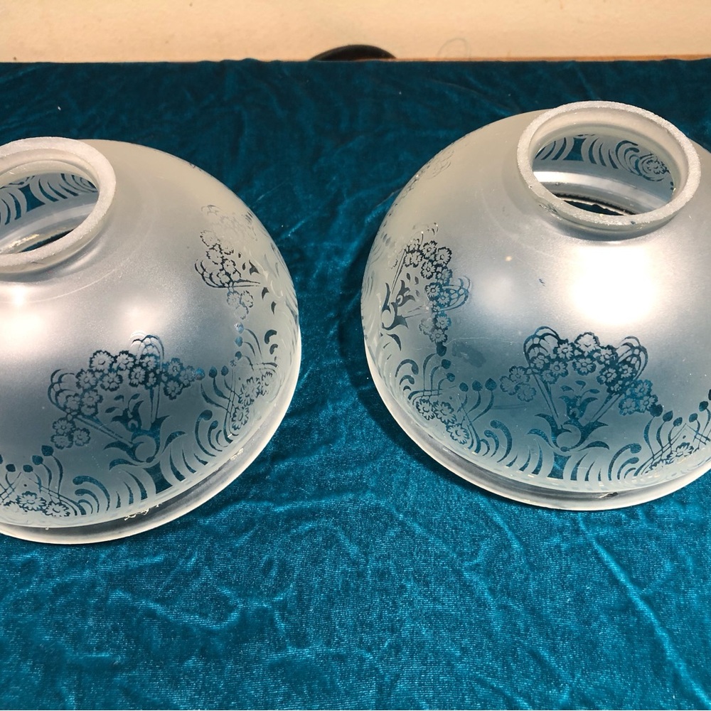Frosted Glass Lamp Shades with Floral Design